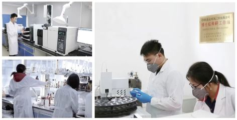 六五環境日|中科鼎實沖鋒在前，以技術創新守護綠水青山
